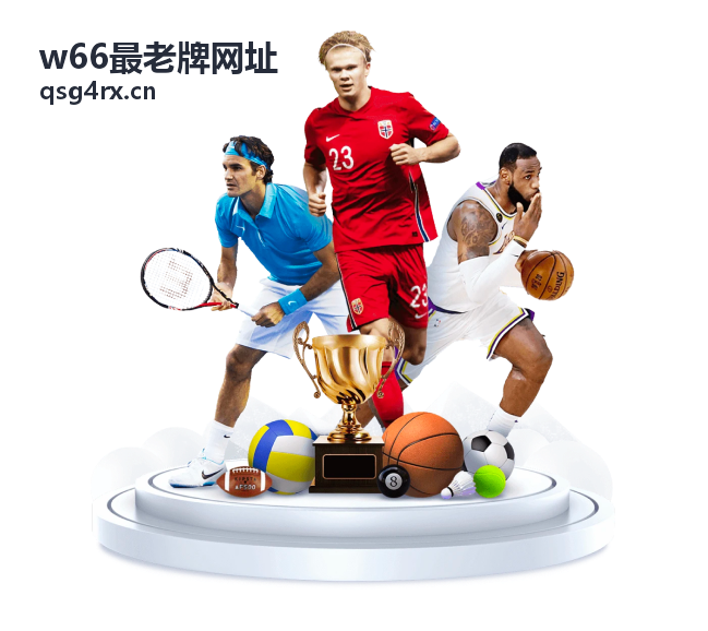 w66平台 理性信息参考示例